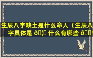 生辰八字缺土是什么命人（生辰八字具体是 🦍 什么有哪些 🐼 内容）